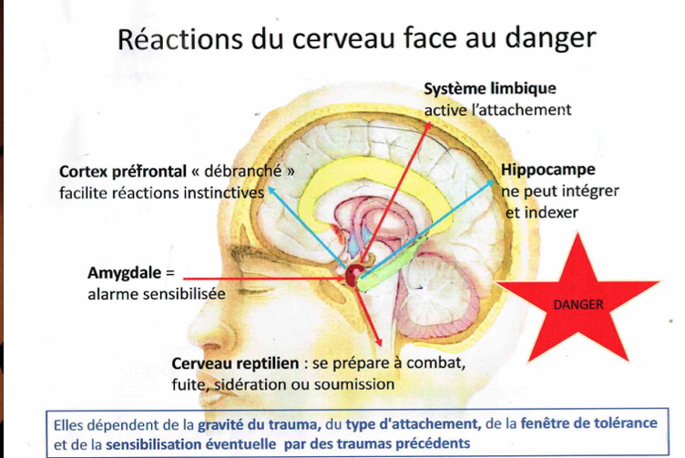 Capture d_écran 2018-05-31 à 13.21.31