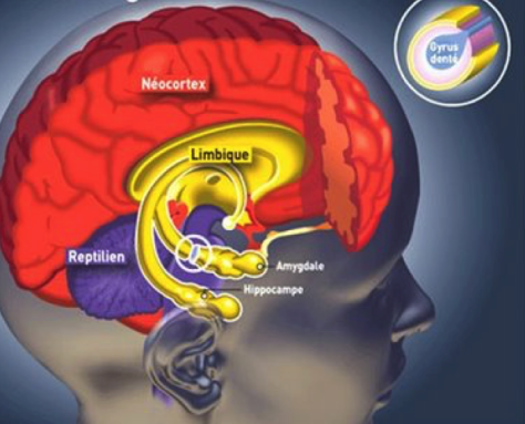 Capture d_écran 2018-05-31 à 13.34.48